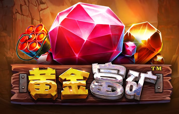 银河vp最新版本