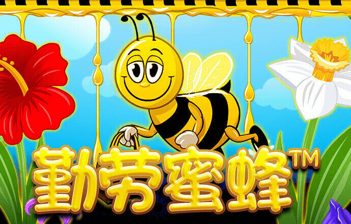 华体体育官网app